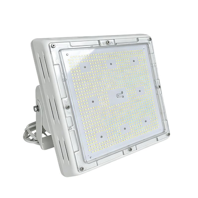 Flood Light