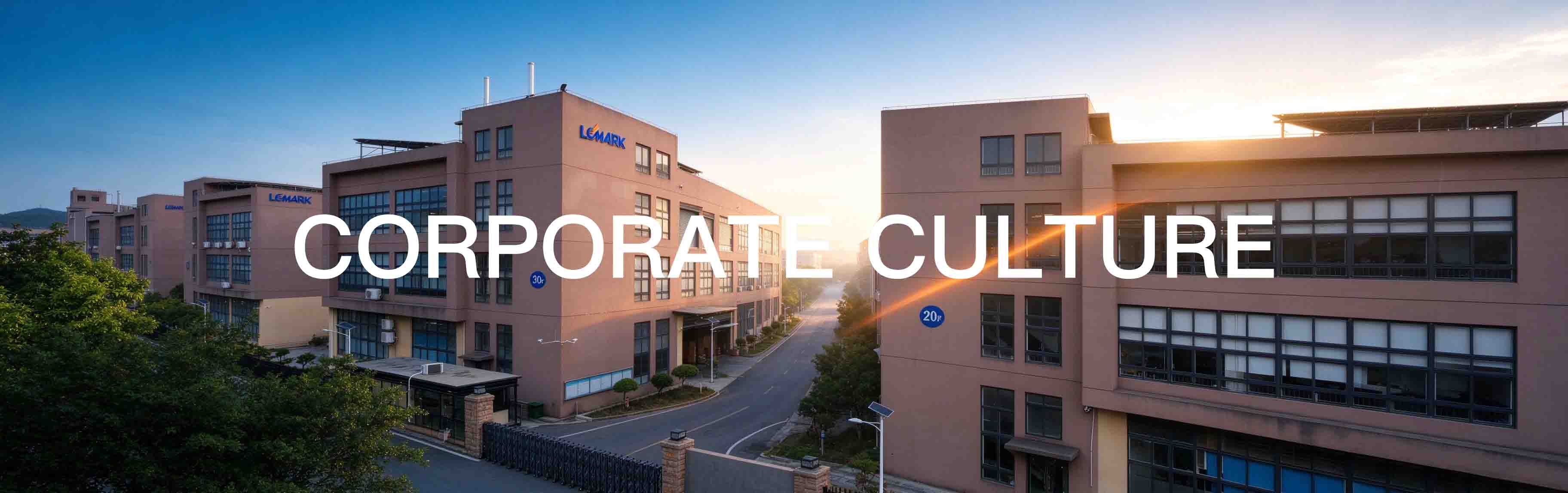 Company Culture